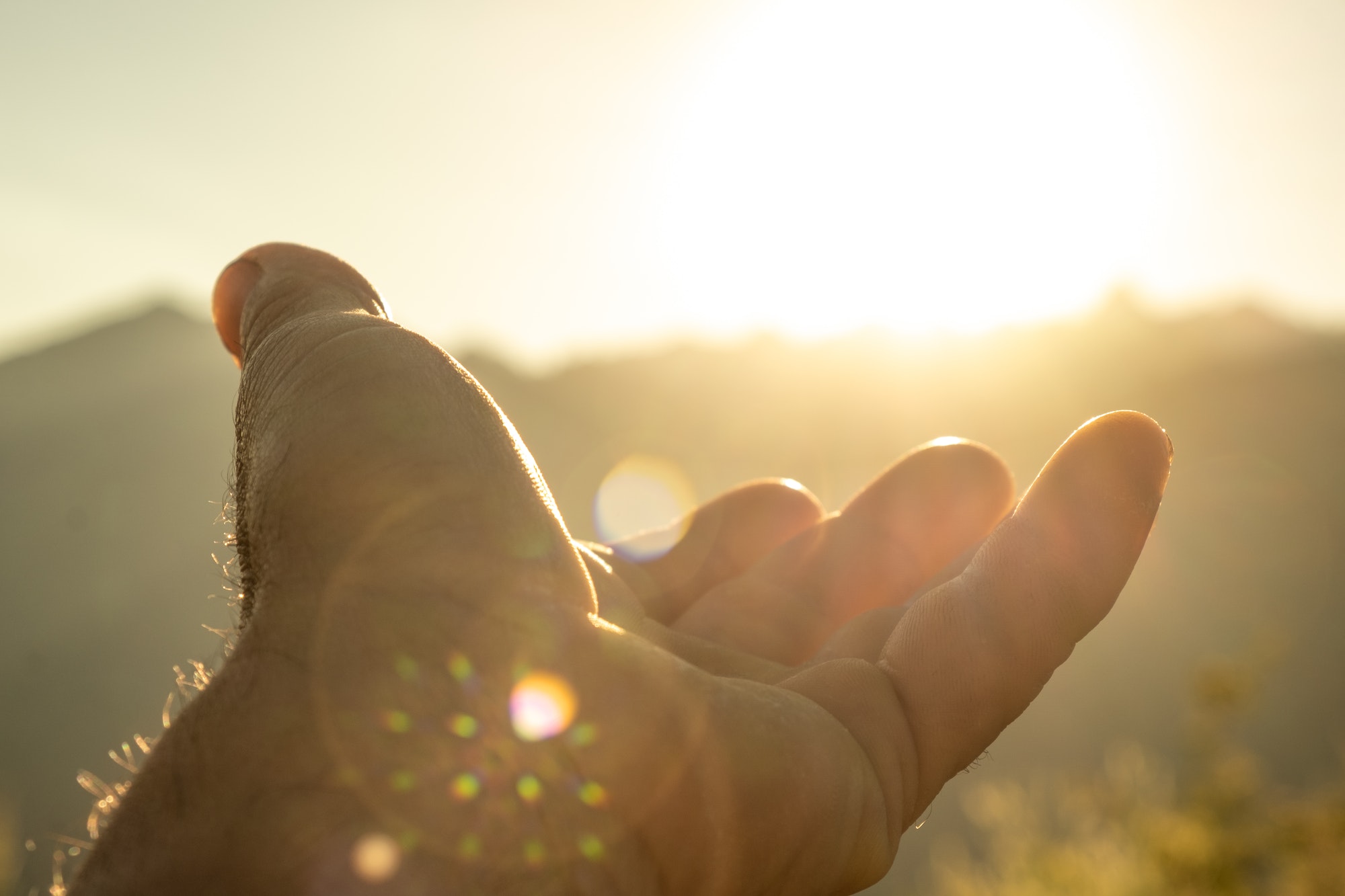 closeup of a man's hand towards the horizon catching the sun